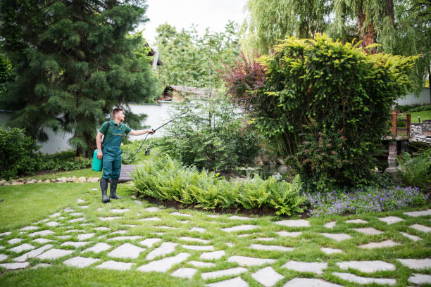 Best Lawn Grading and Leveling  in Panama City, FL