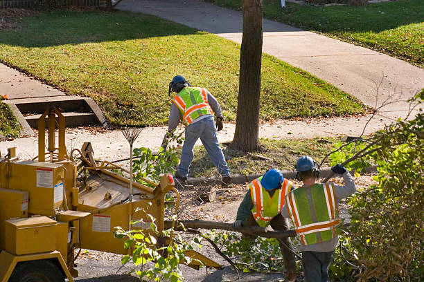 Lawn Drainage Solutions in Panama City, FL