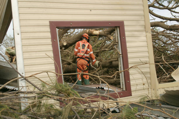 Best Tree Health Inspection  in Panama City, FL
