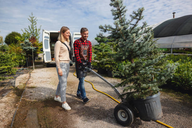 Best Emergency Tree Removal  in Panama City, FL
